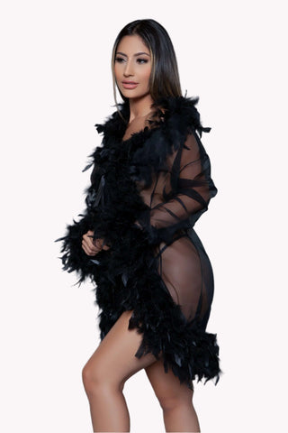 Luxury Long Sleeve Sheer Feather Boa Robe w/ Satin Ribbon Waist Tie 